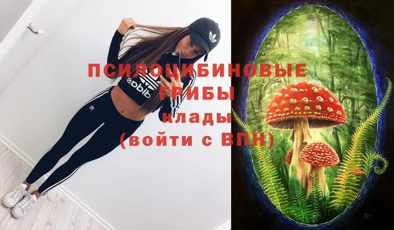 Псилоцибиновые грибы Magic Shrooms  Краснослободск 